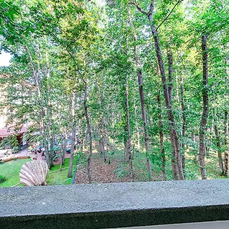 Хотел елмар 3*